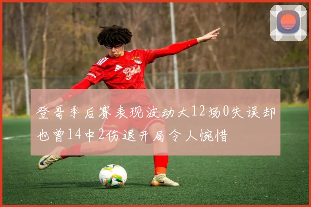 登哥季后赛表现波动大12场0失误却也曾14中2伤退开局令人惋惜